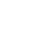 Pre-Sales Service