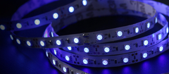LED LAMP
